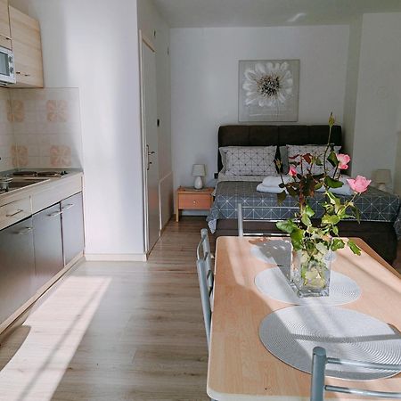 Marko Apartment Rovigno Esterno foto